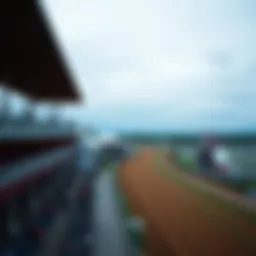 A panoramic view of Presque Isle Downs Racetrack showcasing the racetrack and grandstand during a race day.