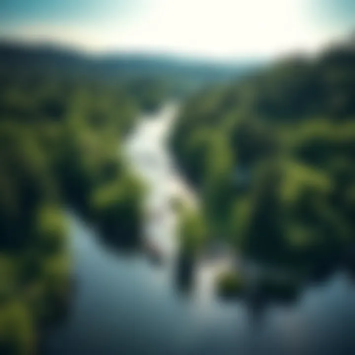 An aerial view of a river surrounded by lush greenery, showcasing a popular fishing spot